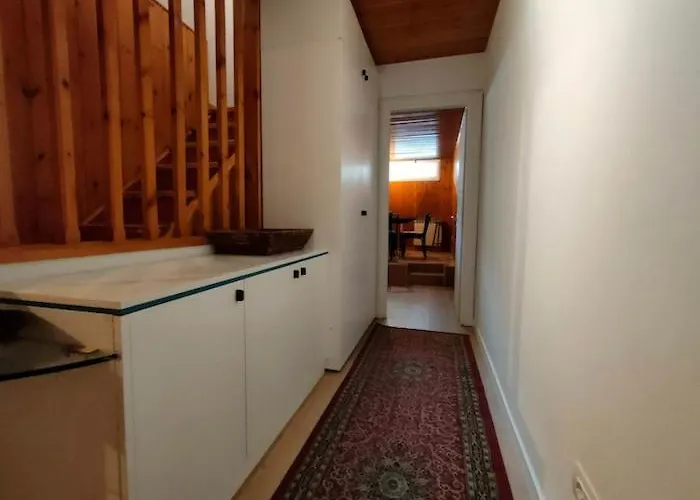 Quadrilocale Dello Sciatore Q413